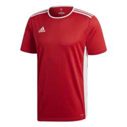 Tee Shirt A Bandes Entrada 18 