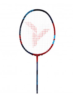 Young Badminton Raquette...