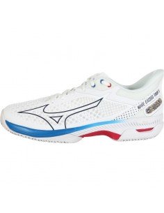 Chaussures Tennis Mizuno Homme Wave Exceed Tour All Court 