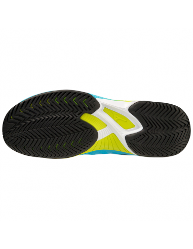 Tennissko Mizuno Wave Exceed Tour 5 Men All Court Blå 