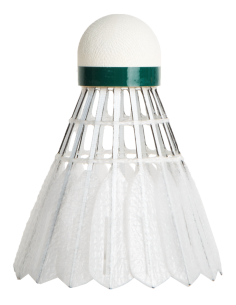Volants de badminton Plumes Victor New CarbonSonic NCS 