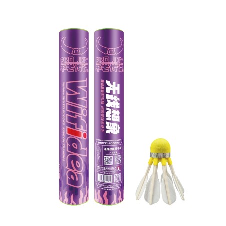 Volants de badminton Plumes Wifidea Pro Joy 858