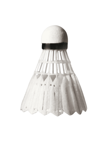 Volants de badminton Plumes Victor New CarbonSonic NCS pro