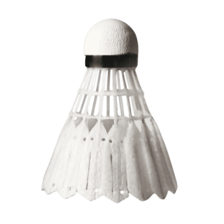 Volants Victor New CarbonSonic NCS Pro - Hybride Carbone & Plume