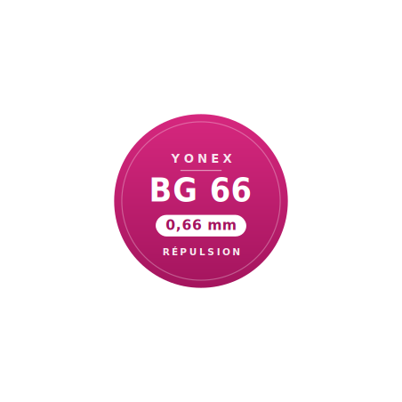 Yonex set BG66