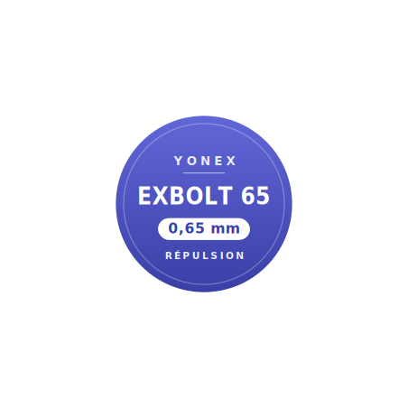 Yonex Set Exbolt 65