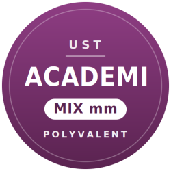 UST ACADEMI