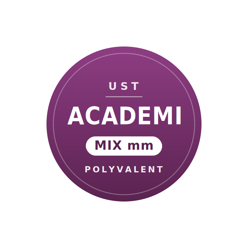 UST ACADEMI
