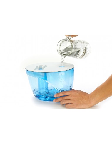 Camiseta Fruit of the Loom para Niños  Camiseta Fruit of the Loom para Niños