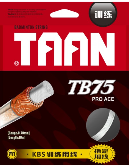 Conjunto de Raquetas de Tenis TAAN TB 75 