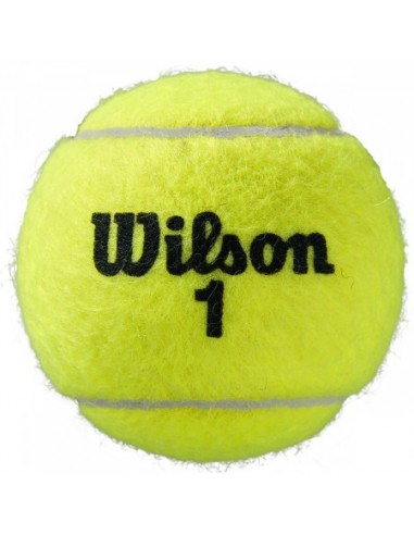 Bipack van 4 Wilson Roland Garros All Court Tennisballen  Bipack van 4 Wilson Roland Garros All Court Tennisballen