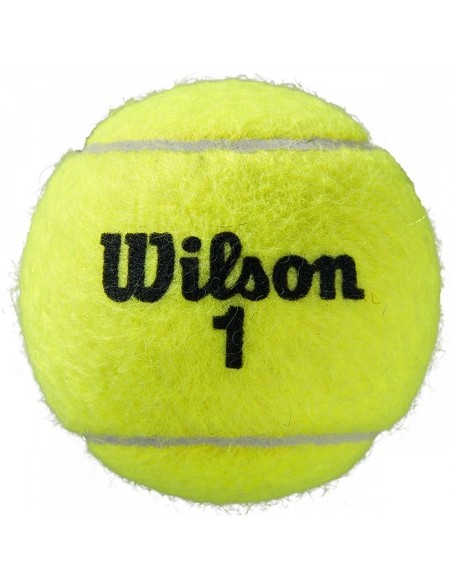 Bipack de 4 Balles Wilson Roland Garros All Court 